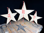 Plywood Star Shape 1/2”