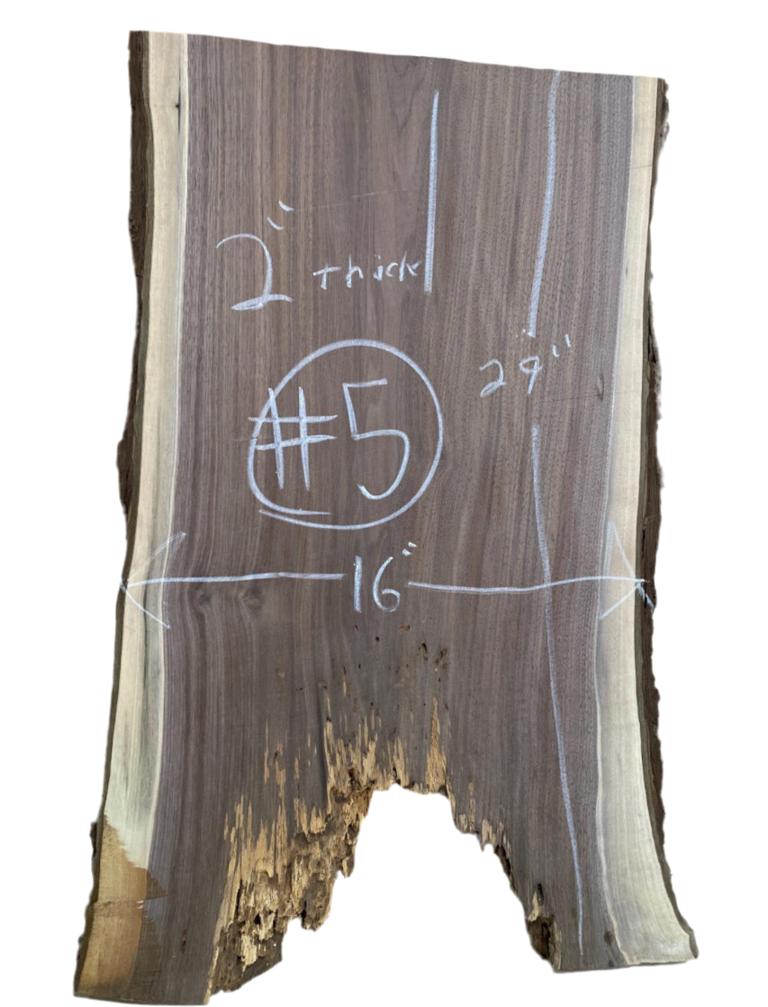 Live Edge walnut slab