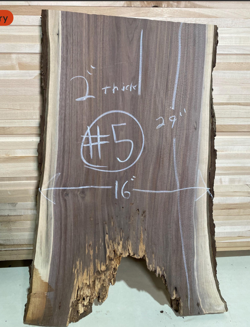 Live Edge walnut slab