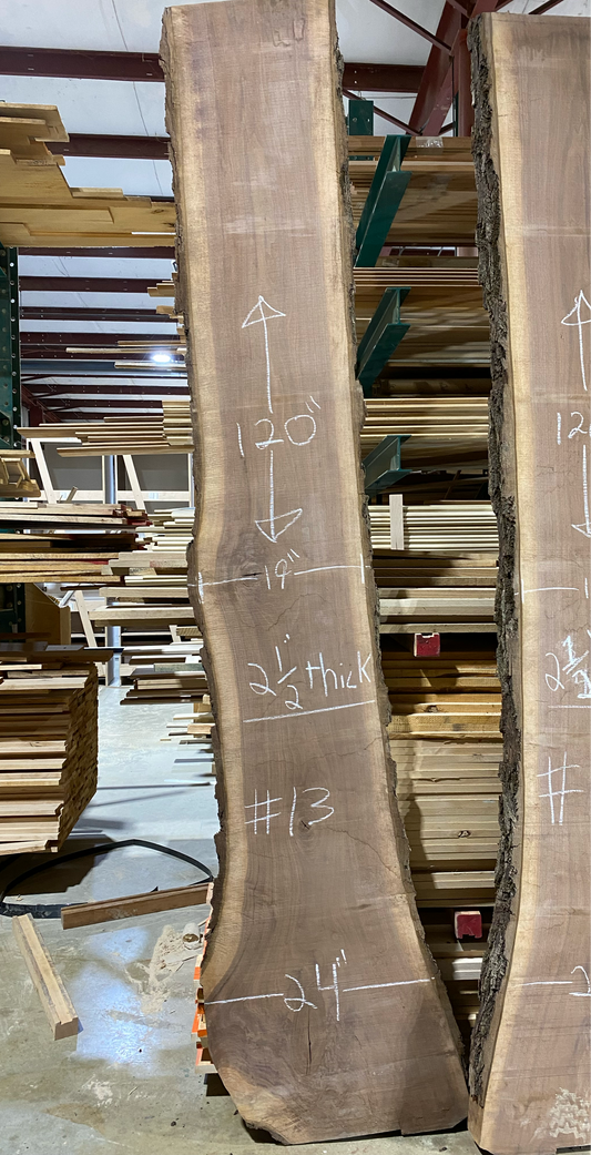 Walnut Slab #13 kiln dried